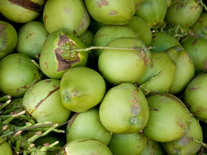 tender coconut